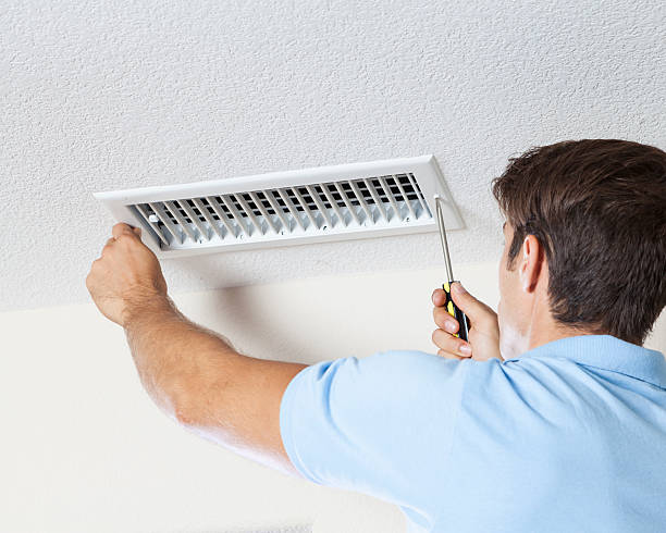 Best Mold Damage Restoration  in Hubbard, OR