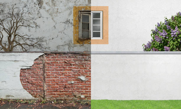 Best Water Damage & Mold Remediation  in Hubbard, OR