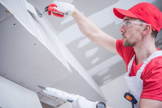 Environmental Consulting for Mold Prevention in Hubbard, OR